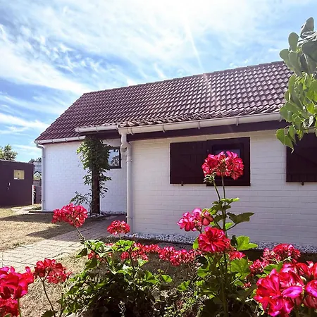 3 Bedroom Beautiful In Prázdninový dům Bredene